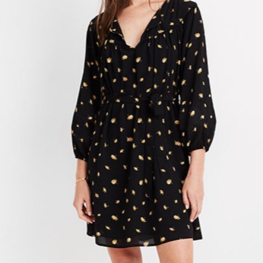 Madewell Tie-Waist Mini Dress in French Daisies